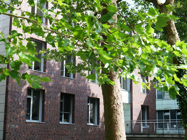 Außenansicht eines Klinikgebäudes am Albertinen Krankenhaus in Hamburg-Schnelsen, teilweise verdeckt von Baumblättern.